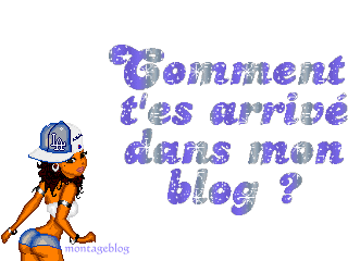 Comment t'es arriver dans mon blog ?? [Article 6 ]