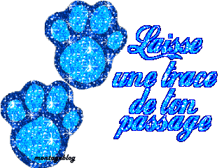 Laisse une trace de ton passage [ Article 9 ]