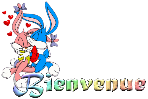 BIENVENUE !!!!!   [Article 1 ]